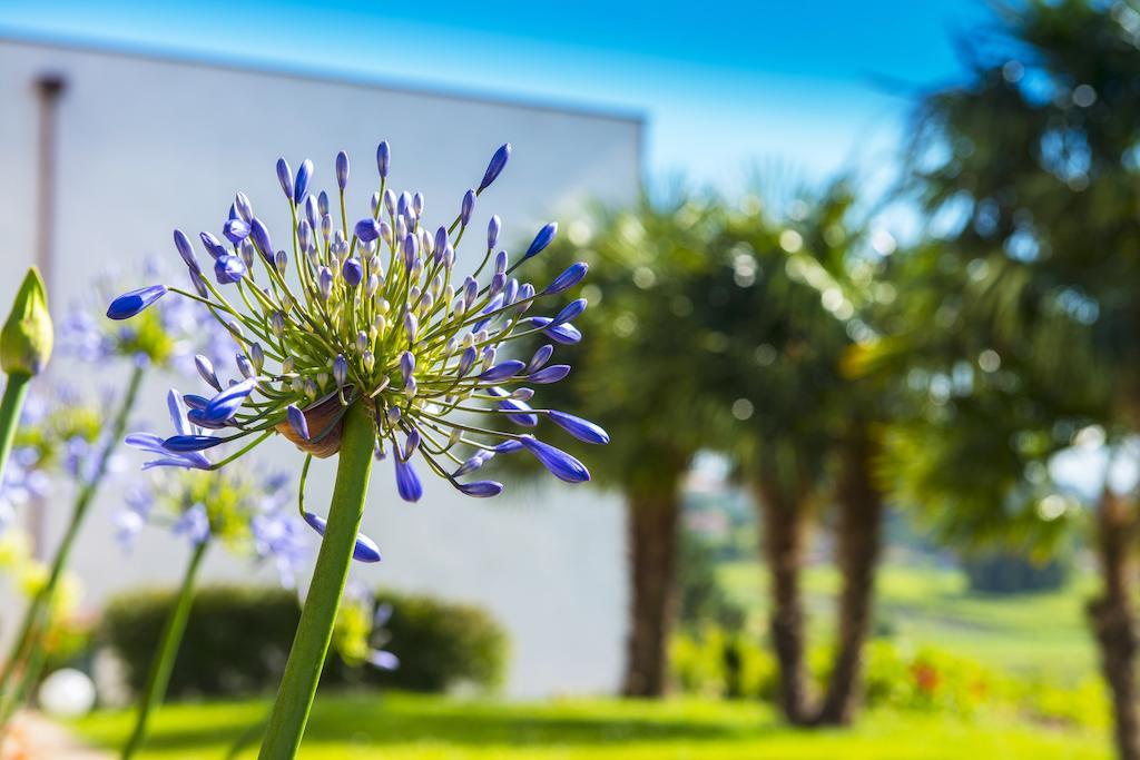 Quinta De San Amaro Rias Baixas Hotel Meaño Exterior foto