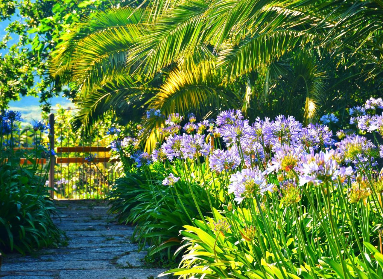 Quinta De San Amaro Rias Baixas Hotel Meaño Exterior foto